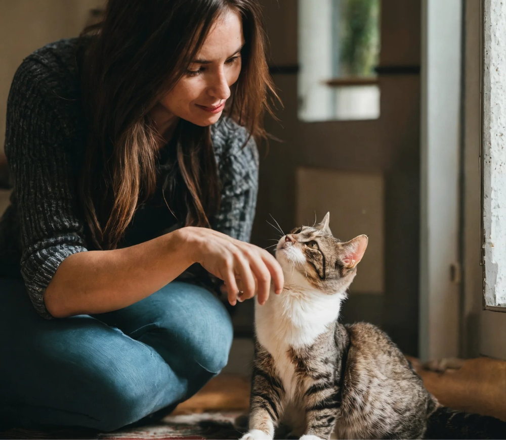 Understand Your Cat's Behavior