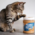 can cats have peanut butter