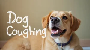 dog coughing by www.petpawportal.com